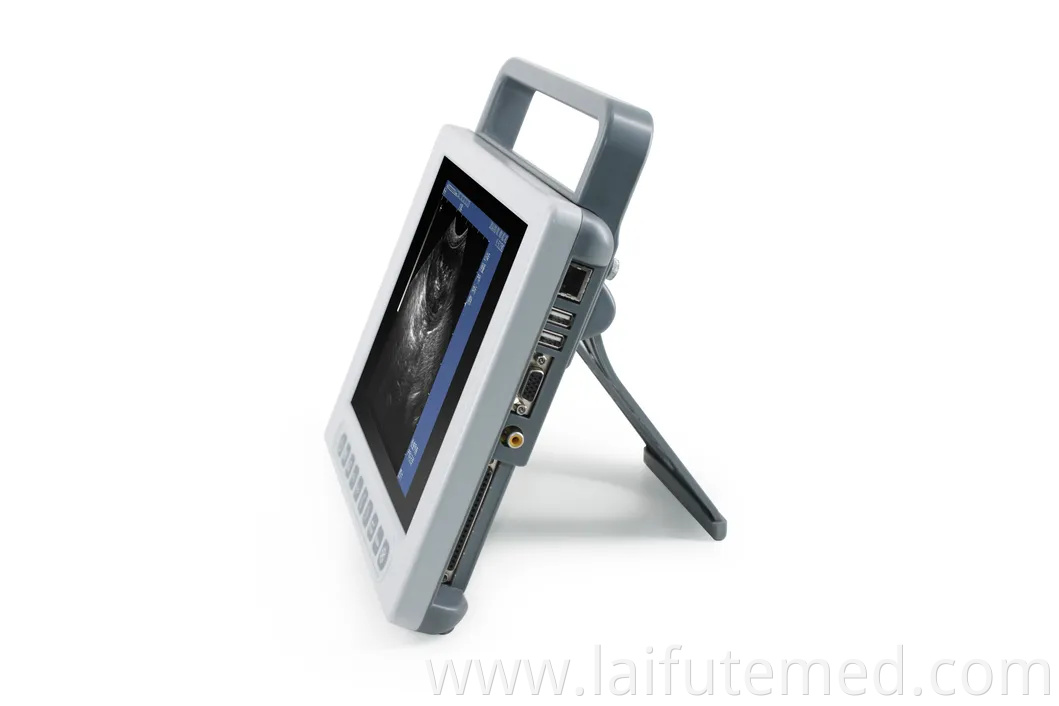 Portable Animal Veterinary Ultrasound for Medical Diagnostic Imaging Center Vet Using